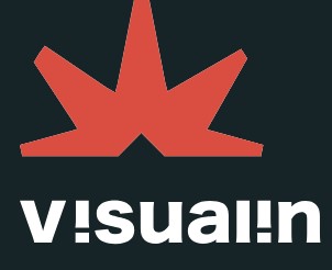 visualinus.com