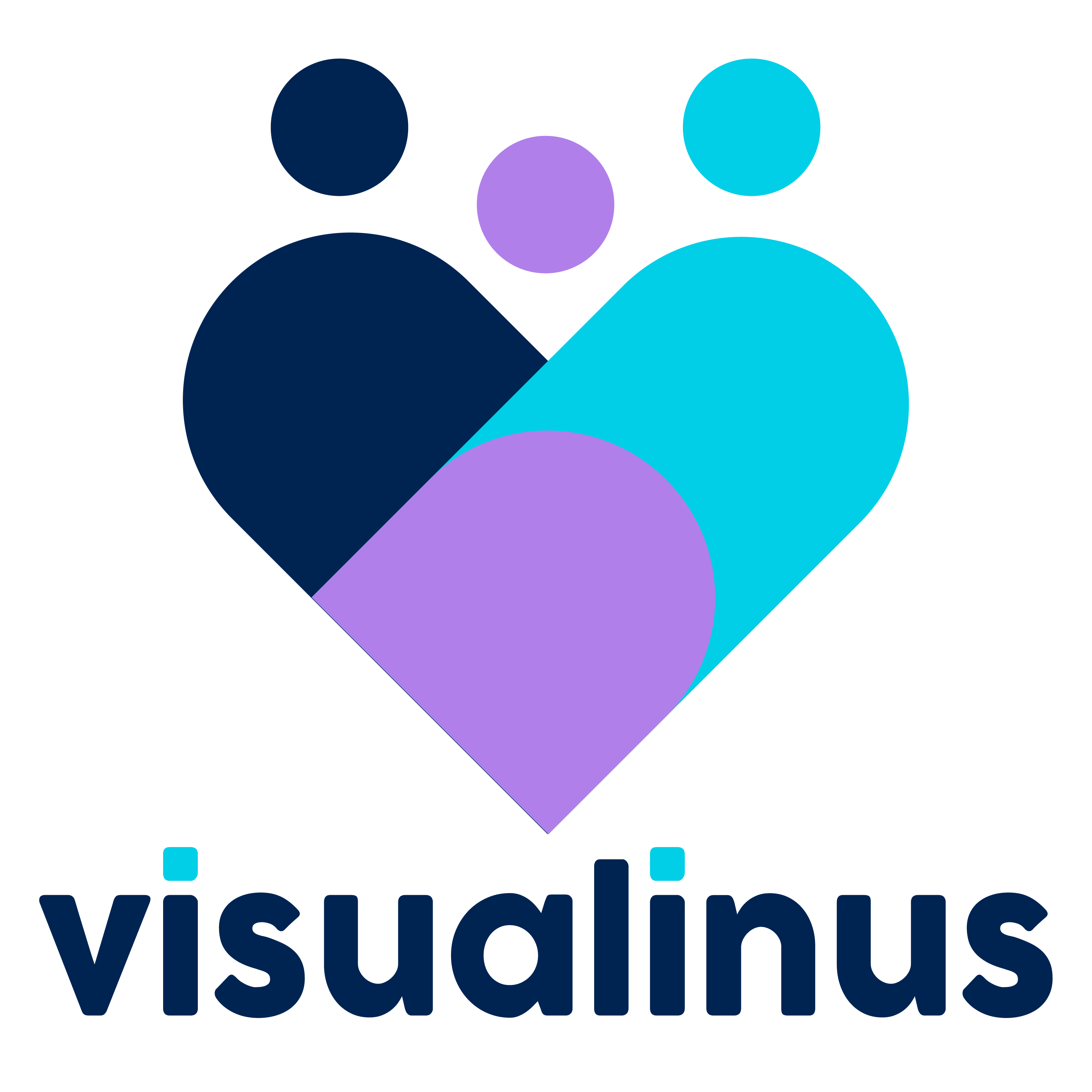 visualinus.com